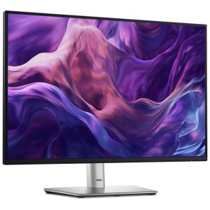 24 inch P2425 100Hz Professional IPS monitor