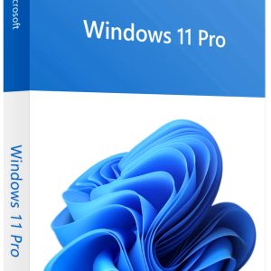 Win 11 Pro 64Bit Eng Intl 1pk DSP OEI DVD - FQC-10528