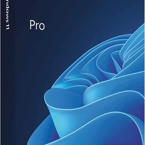 Win Pro FPP 11 64-bit Eng Intl non-EU/EFTA USB - HAV-00164