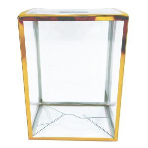 Clear Gold Version 4'' Pop Protector With Film On It With Soft Crease Line And Automatic Bot Lock