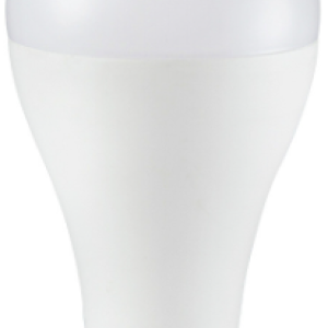 V-TAC LED SIJALICA 17W, E27, A65, 6400K, SKU-4458