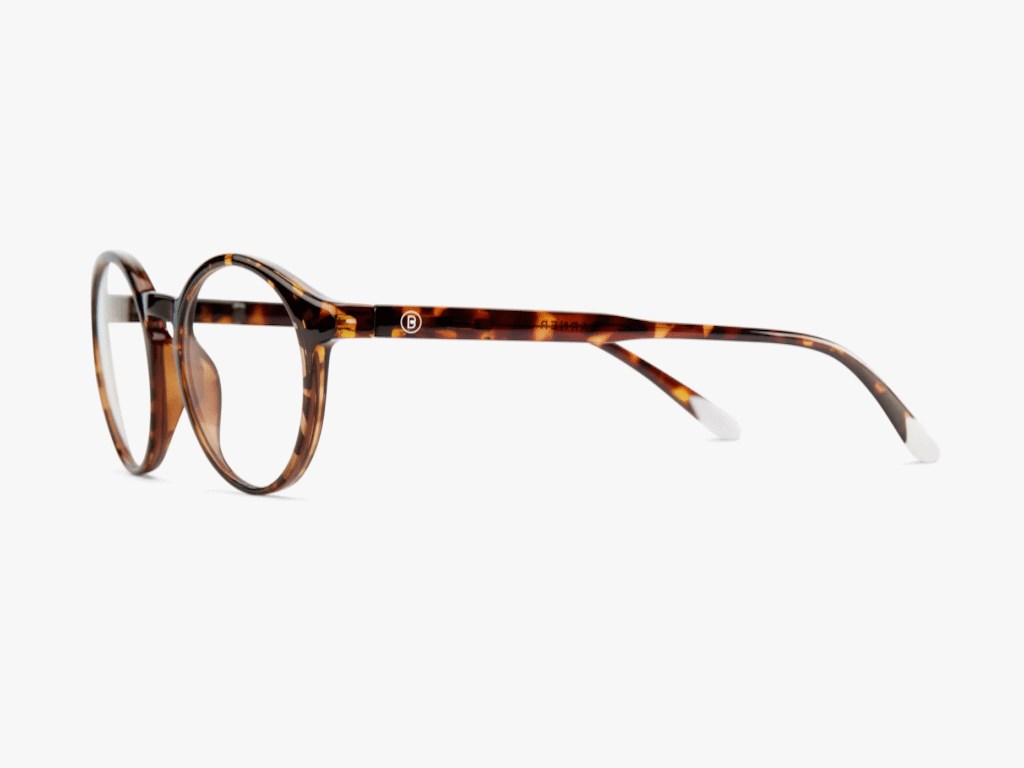 Zaštitne naocare BARNER Le Marais/Glossy Tortoise Naočare SOPING.RS 42 Zaštitne naocare BARNER Le Marais/Glossy Tortoise - Слика 2