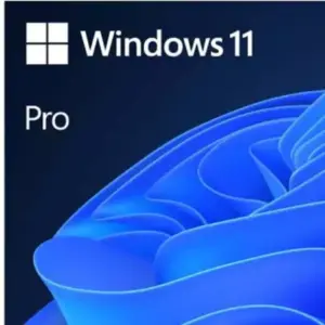 Microsoft Windows 11 Pro 64bit Eng Intl OEM DSP DVD FQC-10528 (24H2)